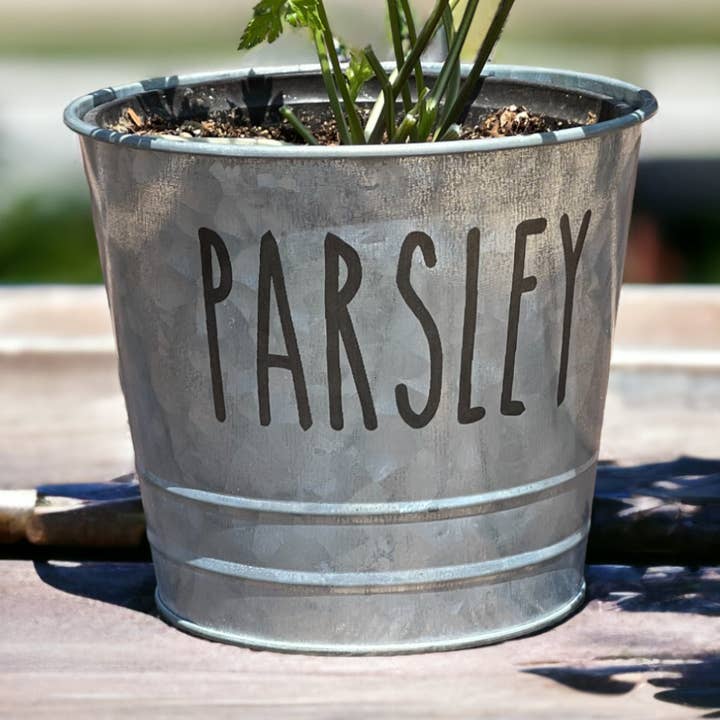 Parsley Farmhouse Herb Bucket Planter for wholesale by The Savvy Spade