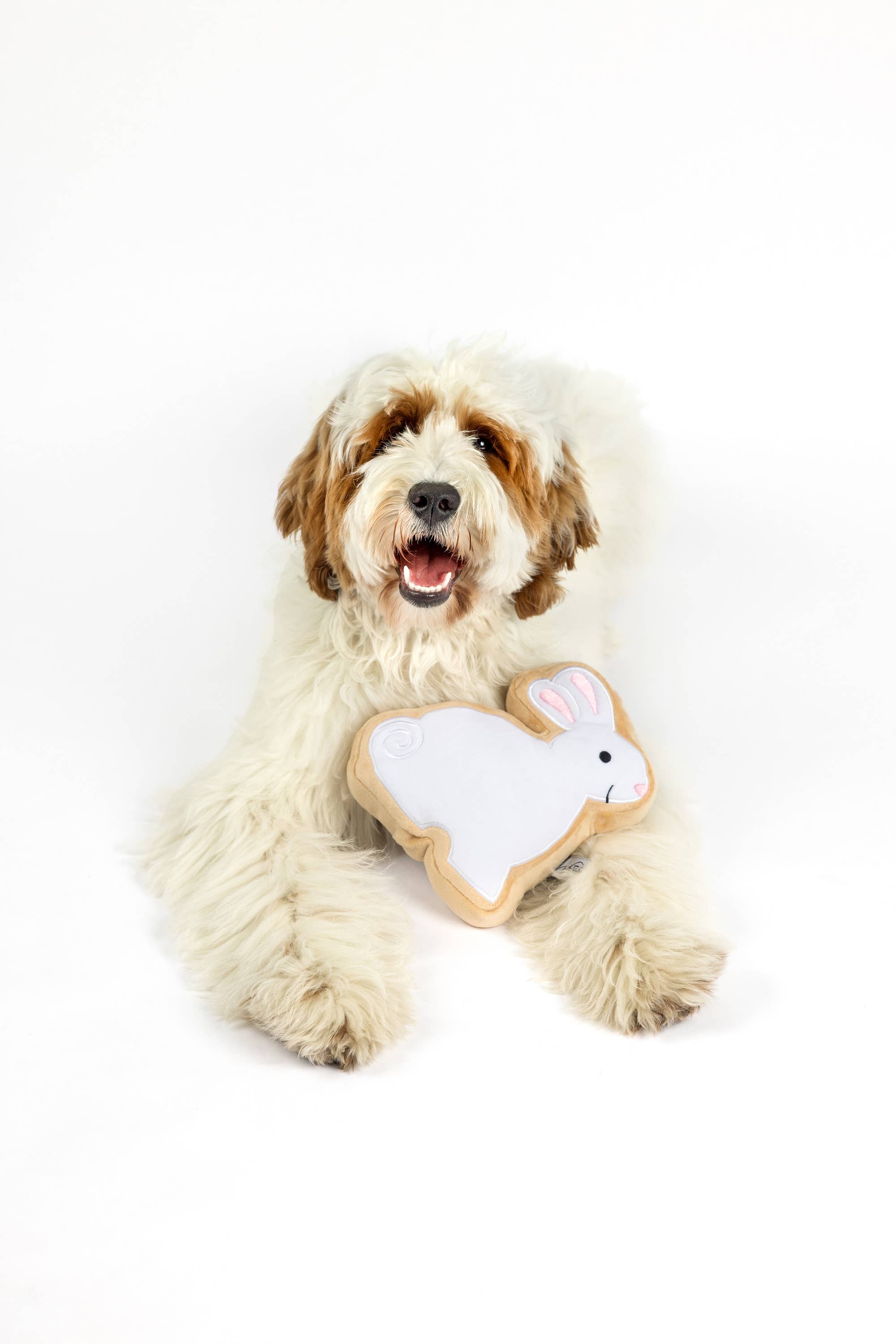 Midlee Designs - Wholesale Speeltje - Hond - Midlee Sugar Cookie Paashaas Hondenspeelgoed5