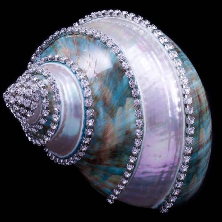 Crystallized Banded Jade Turbo Shell for wholesale by Isabella Adams Designs