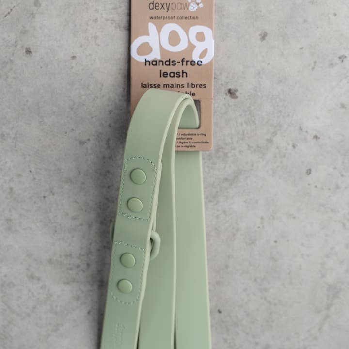 dexypaws - Wholesale Pet Leash - Dog - Hands Free Leash in Sage Green5