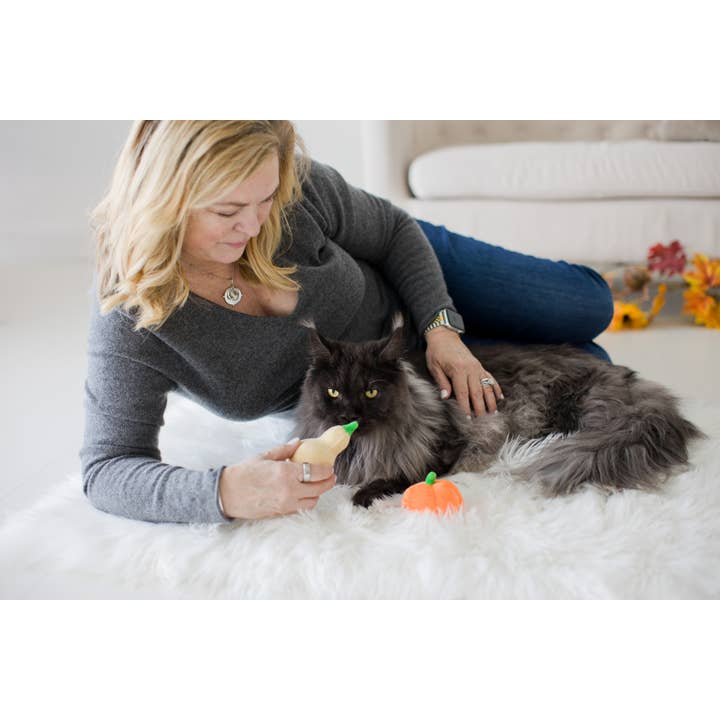 Pearhead - Wholesale Pet Toy Set - Cat - Gourds Fall Cat Toys, Set of 26