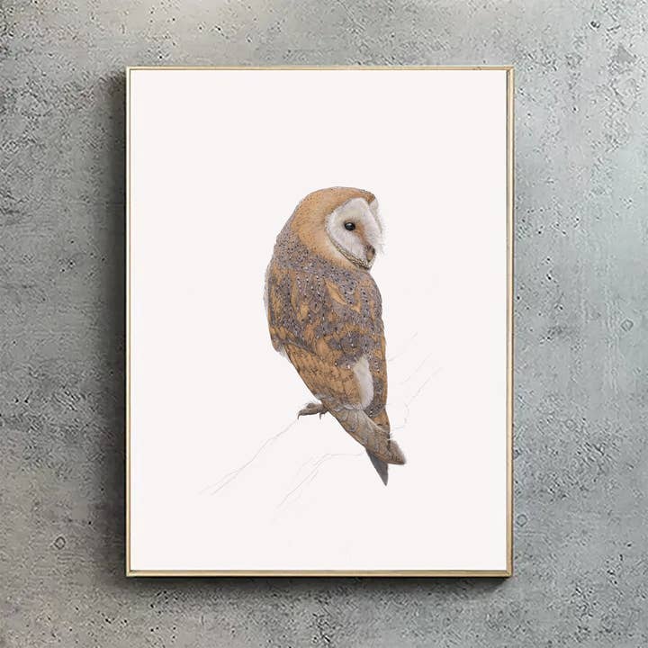 Barn owl - A4 Print (Portrait) for wholesale by Hidden Planet