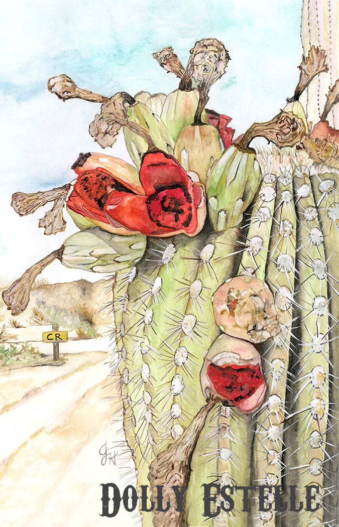 DOLLY ESTELLE - Wholesale Hat Accessory - Women's - Leather Hat Card - Country Roads3