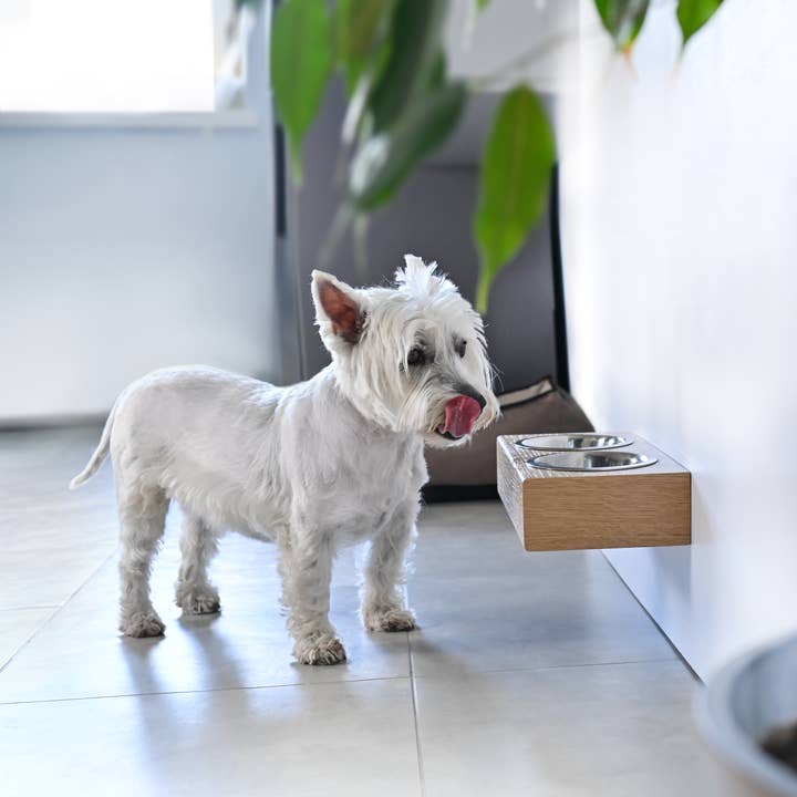 ValiaiDesign – Engroshandel Madskål på stativ til kæledyr – kat/hund – Små hunde og katte træ forhøjet stativ med skåle
