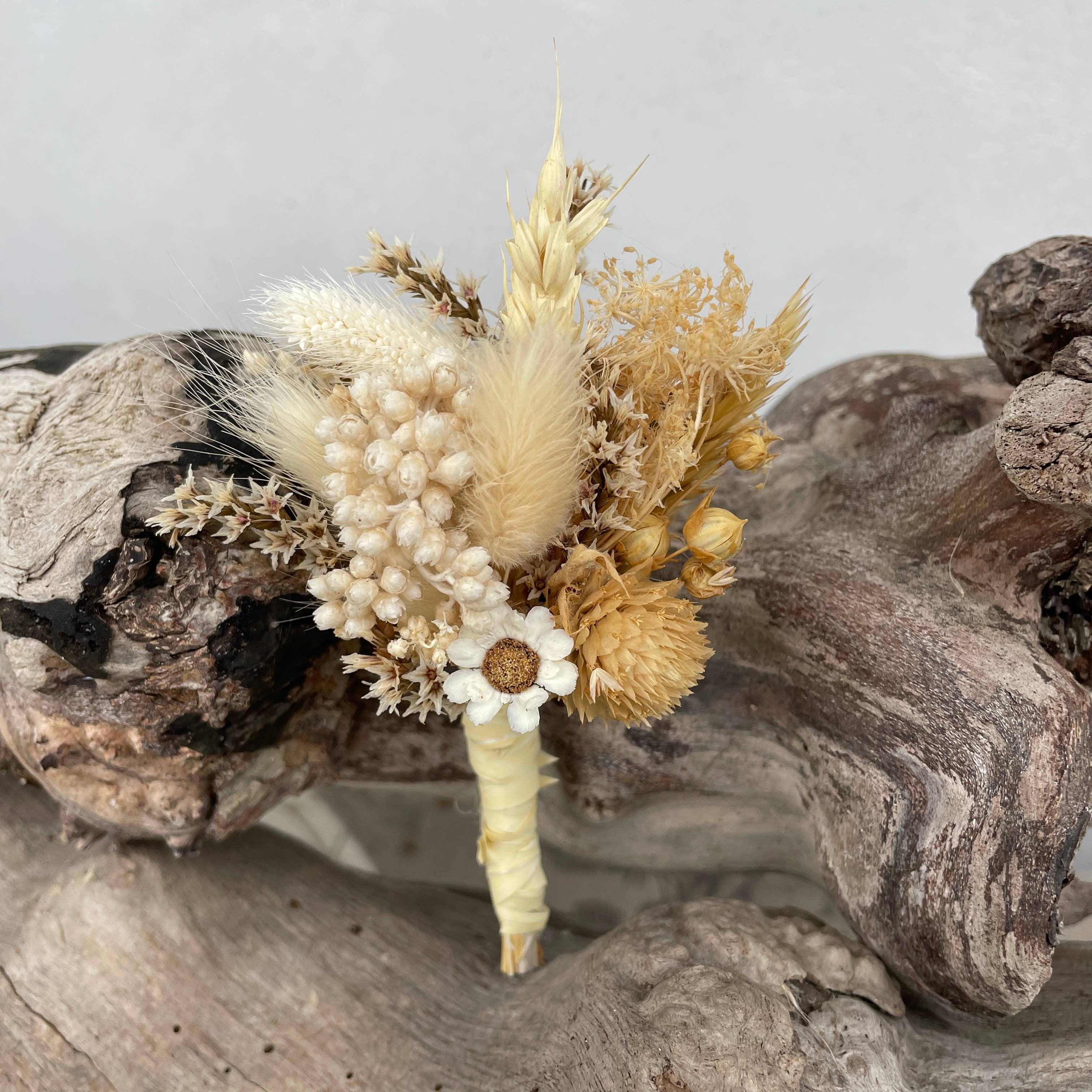 Chaton Et Monsieur Ours - Wholesale Dried/Pressed Flowers - BOUTONNIERES Dried and preserved flowers6