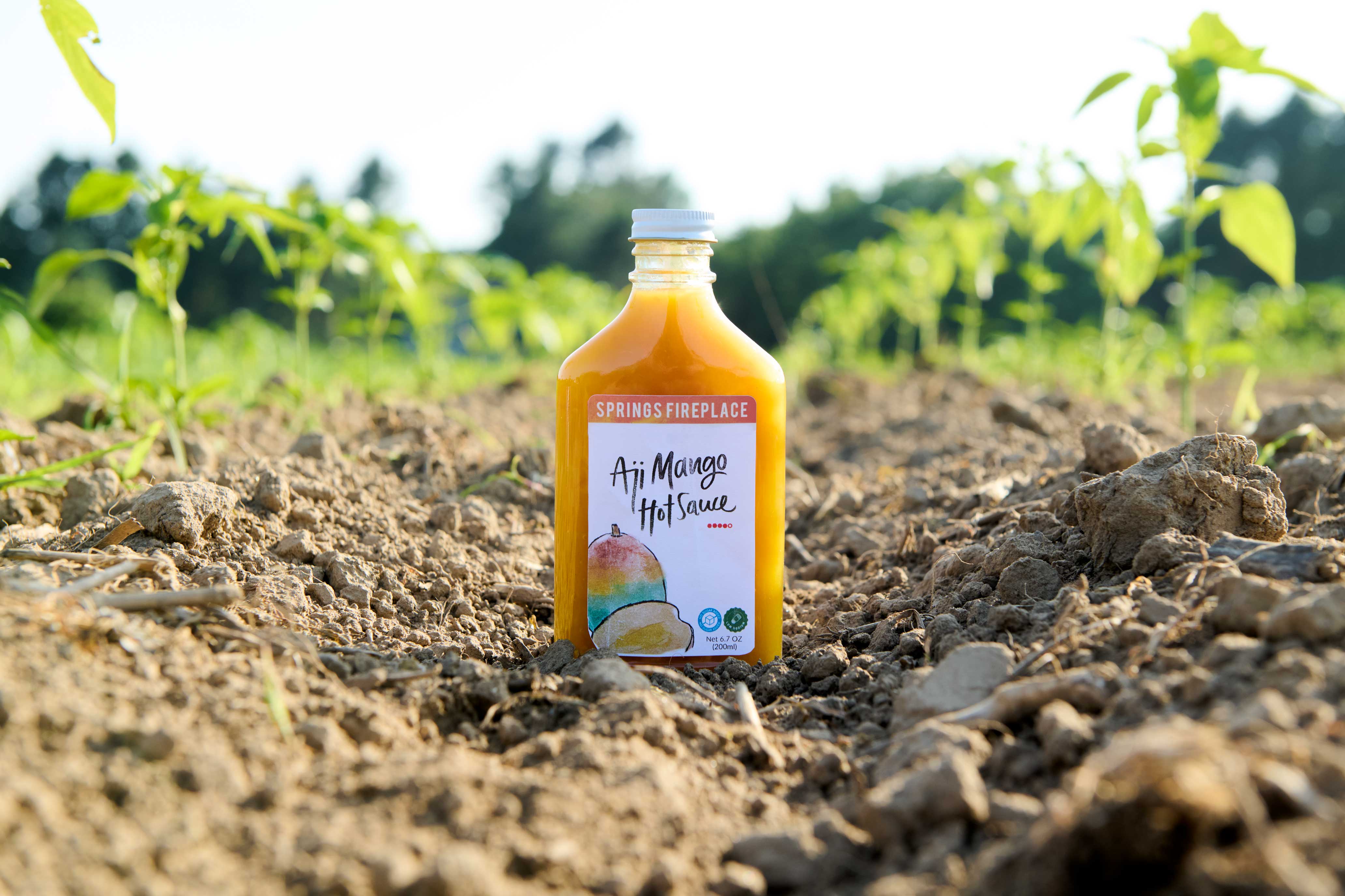 Springs Fireplace - Wholesale Hot Sauce - Aji Mango2