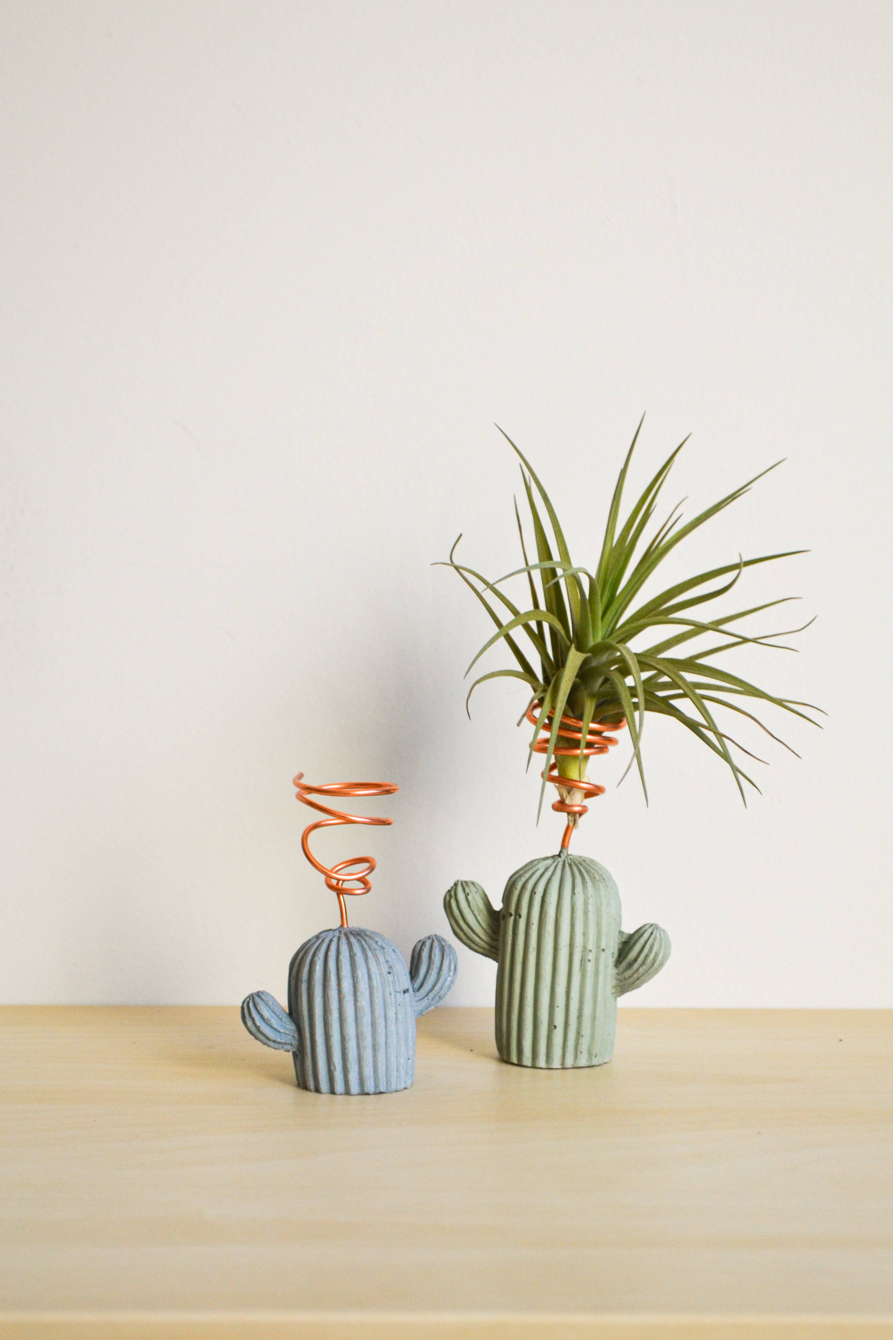LindaMakess - Wholesale Plant Pot - Mini Cactus Holder5