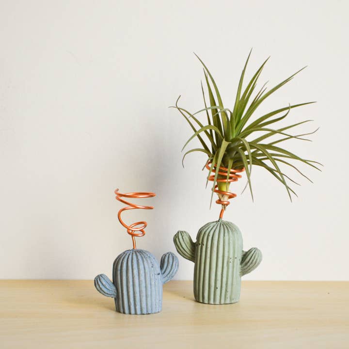 LindaMakess - Wholesale Plant Pot - Small Cactus Airplant Holder5