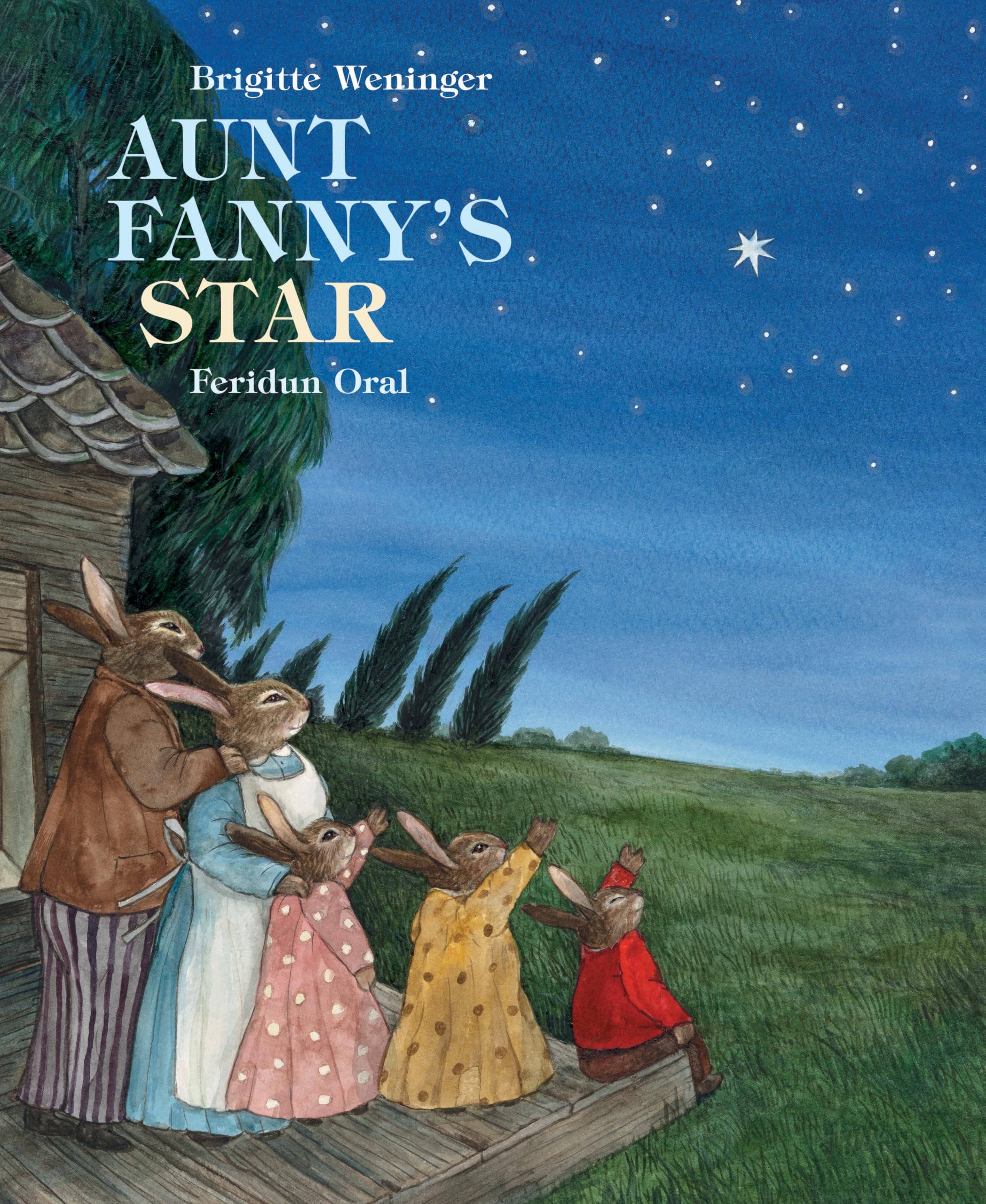 Boon Books - Wholesale Preschool Book (3-5) - Aunt Fanny's Star by Brigitte Weninger & Feridum Oral0