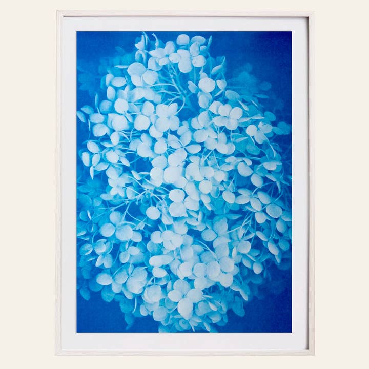 Hortensie Artprint Poster für den Großhandel von HERR & FRAU RIO