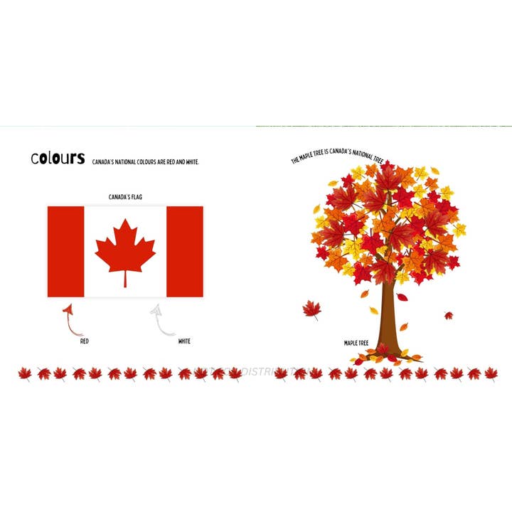 Doodle Paw Press - Wholesale Book - Kids - The Most Canadian Baby Book Ever Eh! Canada Theme Baby Book