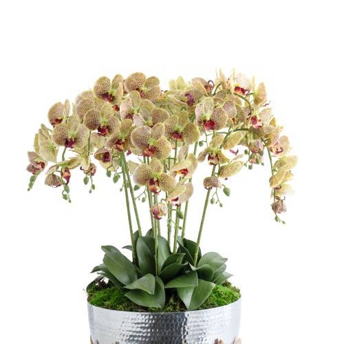 T&C Floral Company - Wholesale Artificial Flowers - Orchids in Mixed metal urn2
