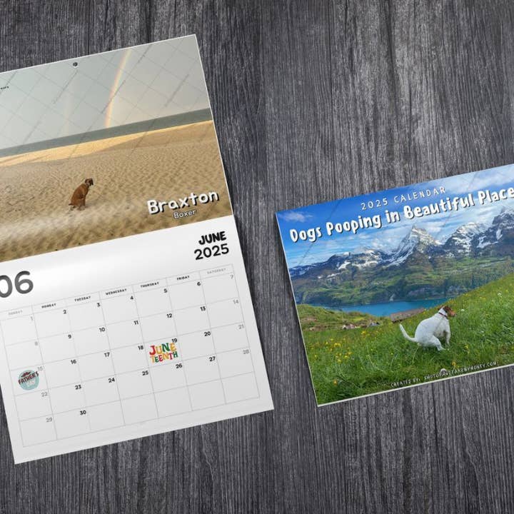 ShutUpAndTakeMyMoney - Wholesale Calendar - Dogs Pooping in Beautiful Placesâ„¢ 2025 Calendar - Gag Gift