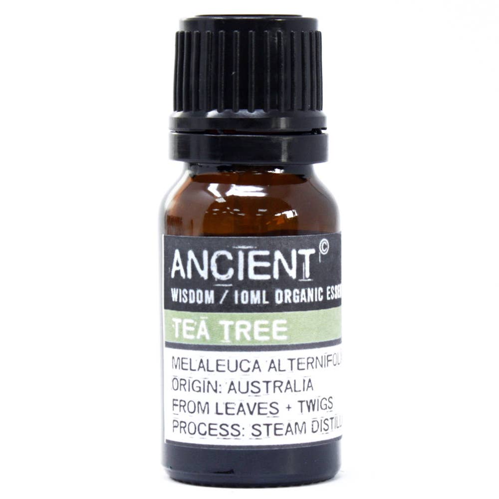 Ancient Wisdom - Wholesale Essential Oil - Tea Tree Organic Essential Oil 10ml0