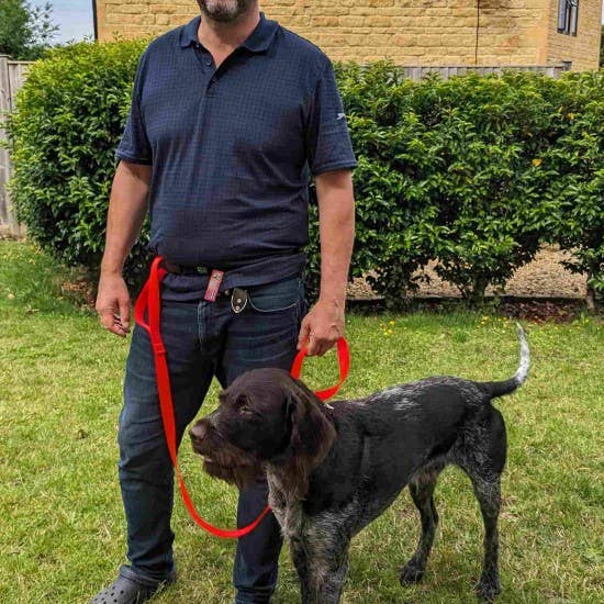 Cotswold Pet Supplies - Wholesale Pet Leash - Dog - Walk Your Dog with Love Zen Hipster Walking Belt