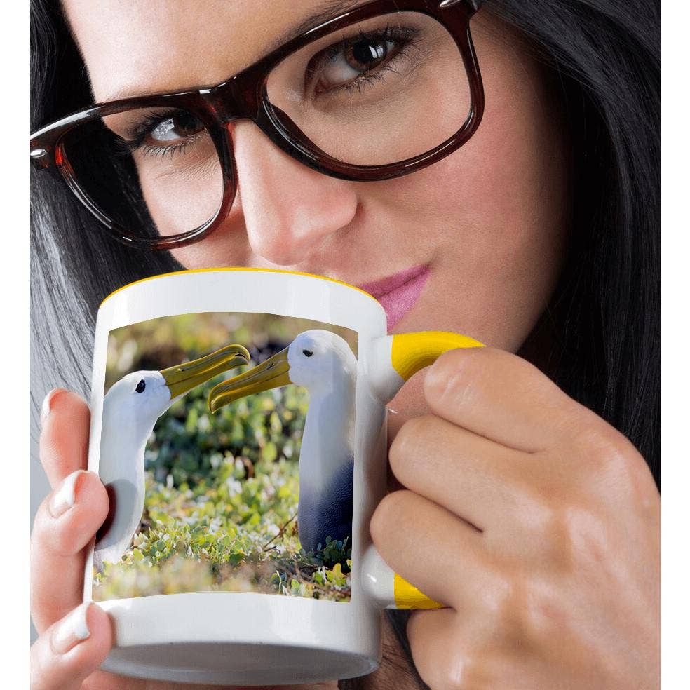3dRose - Wholesale Coffee Mug - 3dRose, Ecuador, Galapagos, Espanola, Punta Suarez. Waven albatrosses pair., Mug1