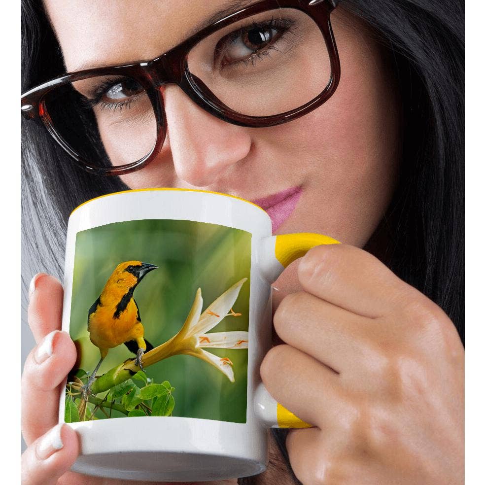 3dRose - Wholesale Coffee Mug - 3dRose, Yucatan, Mexico. Altamira oriole in Caribbean trumpet tree., Mug1