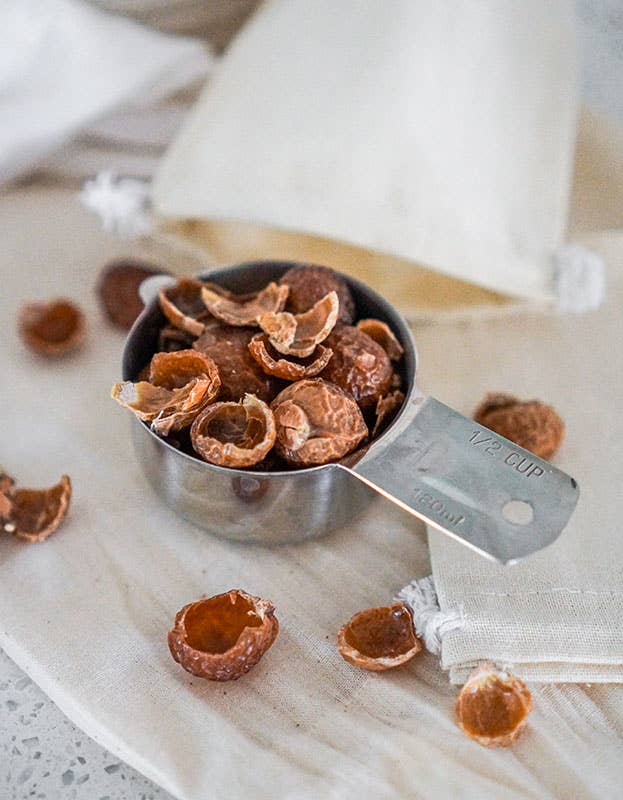 Pure Indian Foods - Wholesale Laundry Detergent Powder/Pods - Soap Nuts, Certified Organic - 8 oz (226g)2