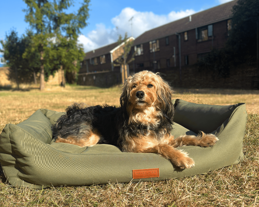 Ralph & Co - Wholesale Pet Bed - Dog - Waterproof & Memory Foam Dog Bed With Removable Covers | Henley7