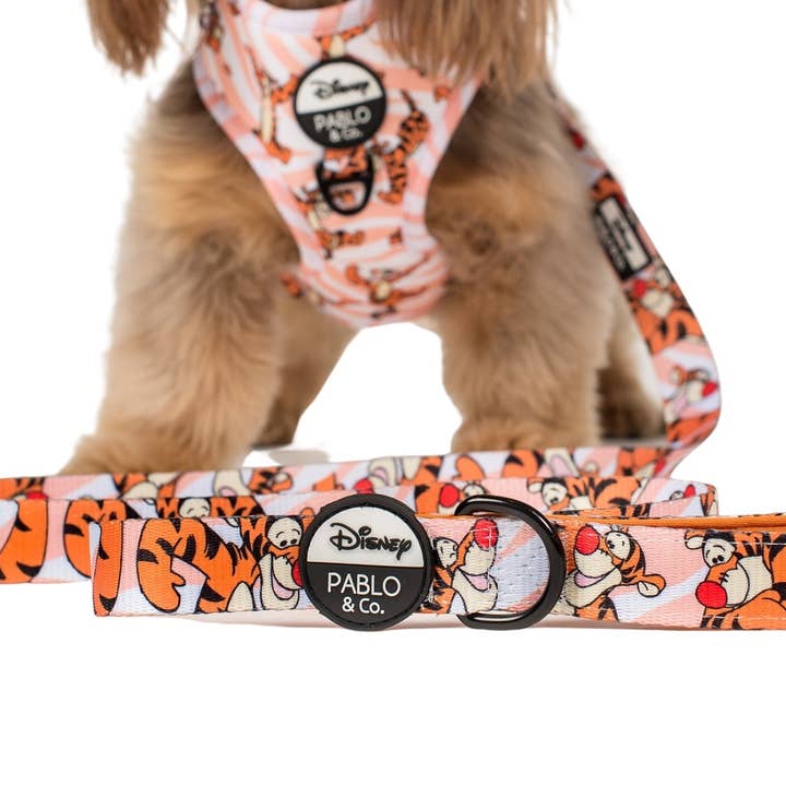 Pablo & Co. Boutique - Wholesale Pet Leash - Dog - The One of a Kind Tigger: Dog Leash