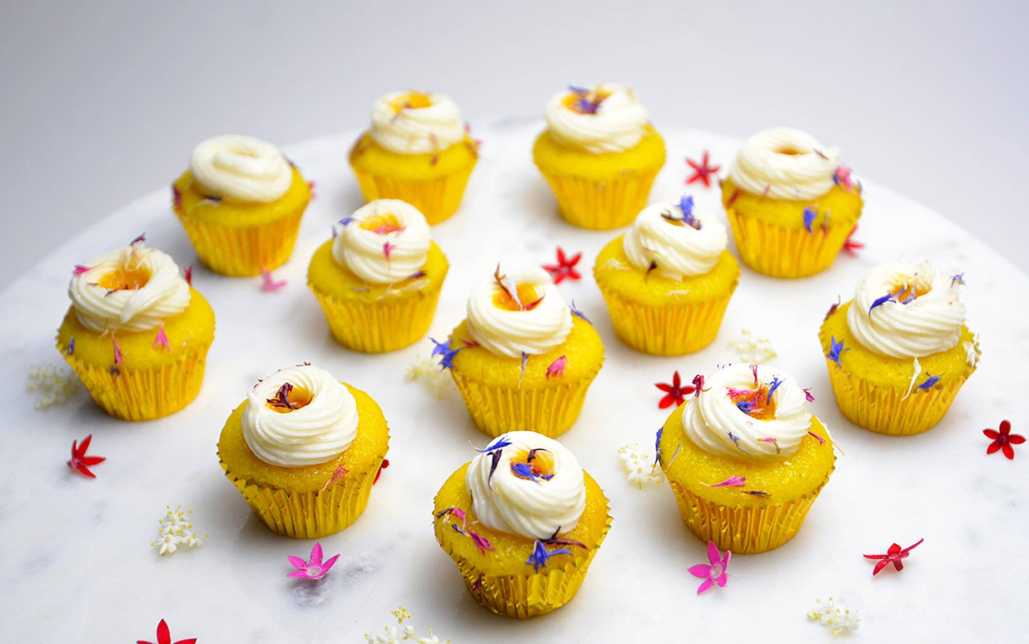 Aloha Bites - Wholesale Cupcake - Cupcakes - Signature Hawaiian Mini 10