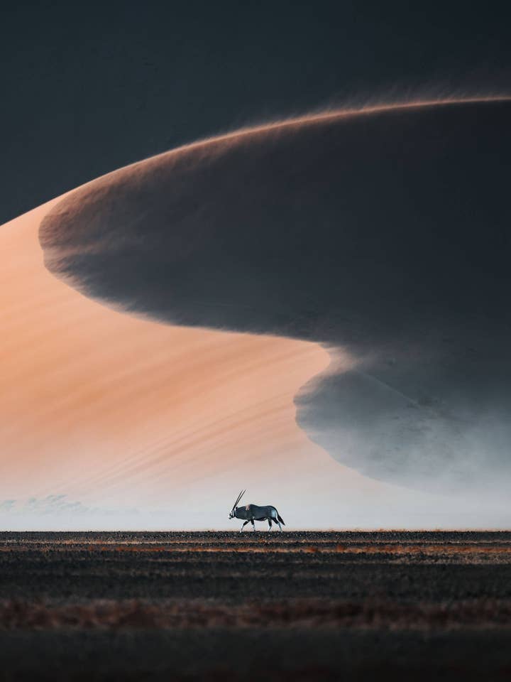 Tegen het graan voor wholesale door Perspectives