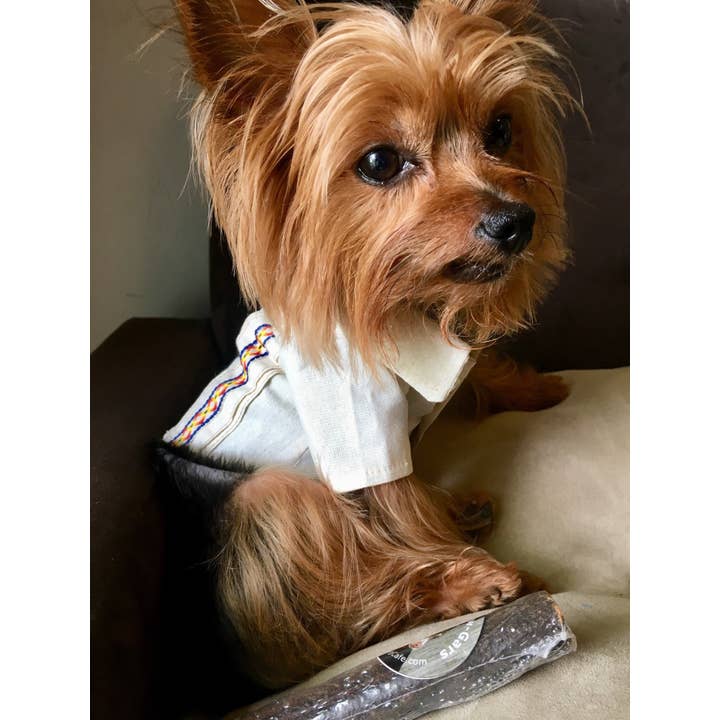 Gueyita Mexicana - Vente Chemise – chien - Chemises pour chien mexicaines/Guayabera mexicain pour chien9