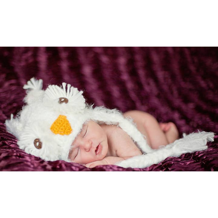 The Daisy Baby LLC - Wholesale Newborn/Knit Hat - Baby - White Feather Snow Owl Crocheted Handmade Heirloom Gift Hat