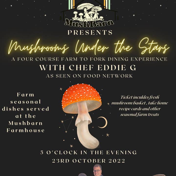 23.10.22 Setas bajo las estrellas | Evento EN DIRECTO de MushBarn para venta al por mayor de MushBarn