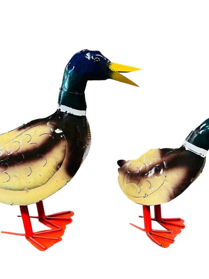 34-122-Duck 2pcs Set Asstd. Colors -20 for wholesale by Rustic Farm