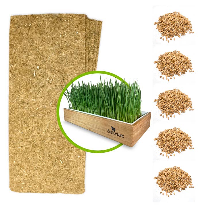 Organic Wheatgrass Self Watering Kit Refill Mats & Seeds for 5 Crops. (Refill Kits) for wholesale by ZestiGreens