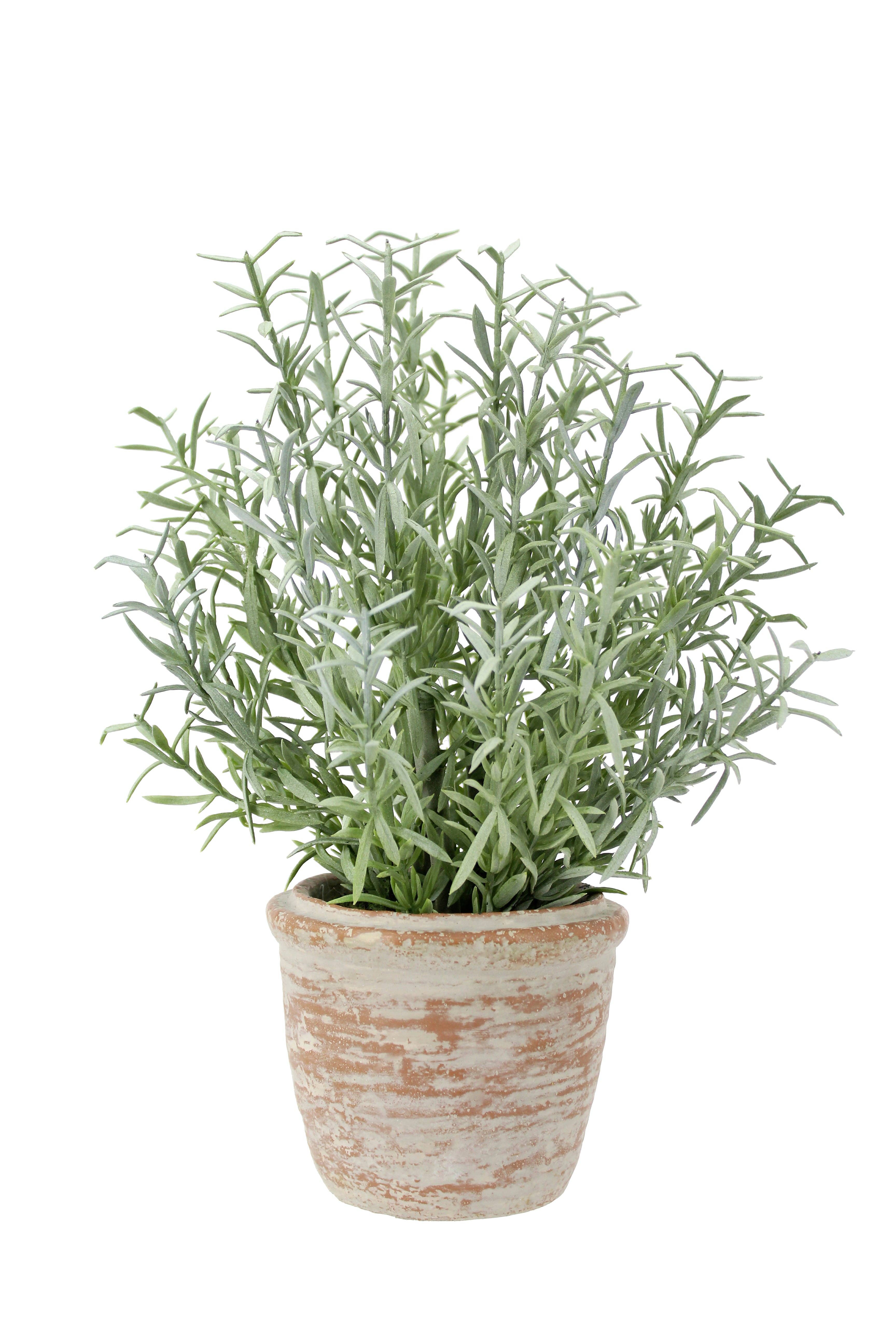 CG Hunter - Wholesale Artificial Plant - 12" Rosemary & 16" Olive Topiary Set7