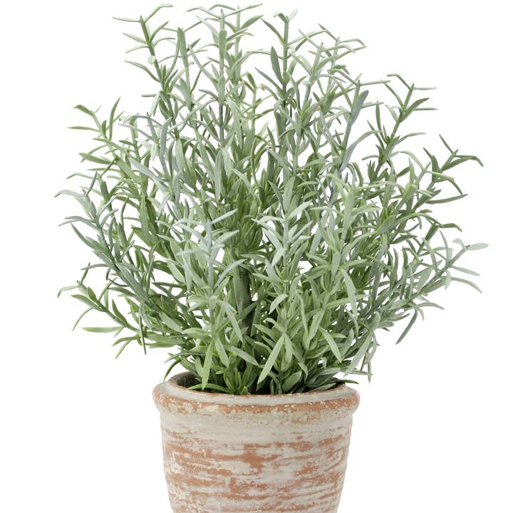 CG Hunter - Wholesale Artificial Plant - 12" Rosemary & 16" Olive Topiary Set7