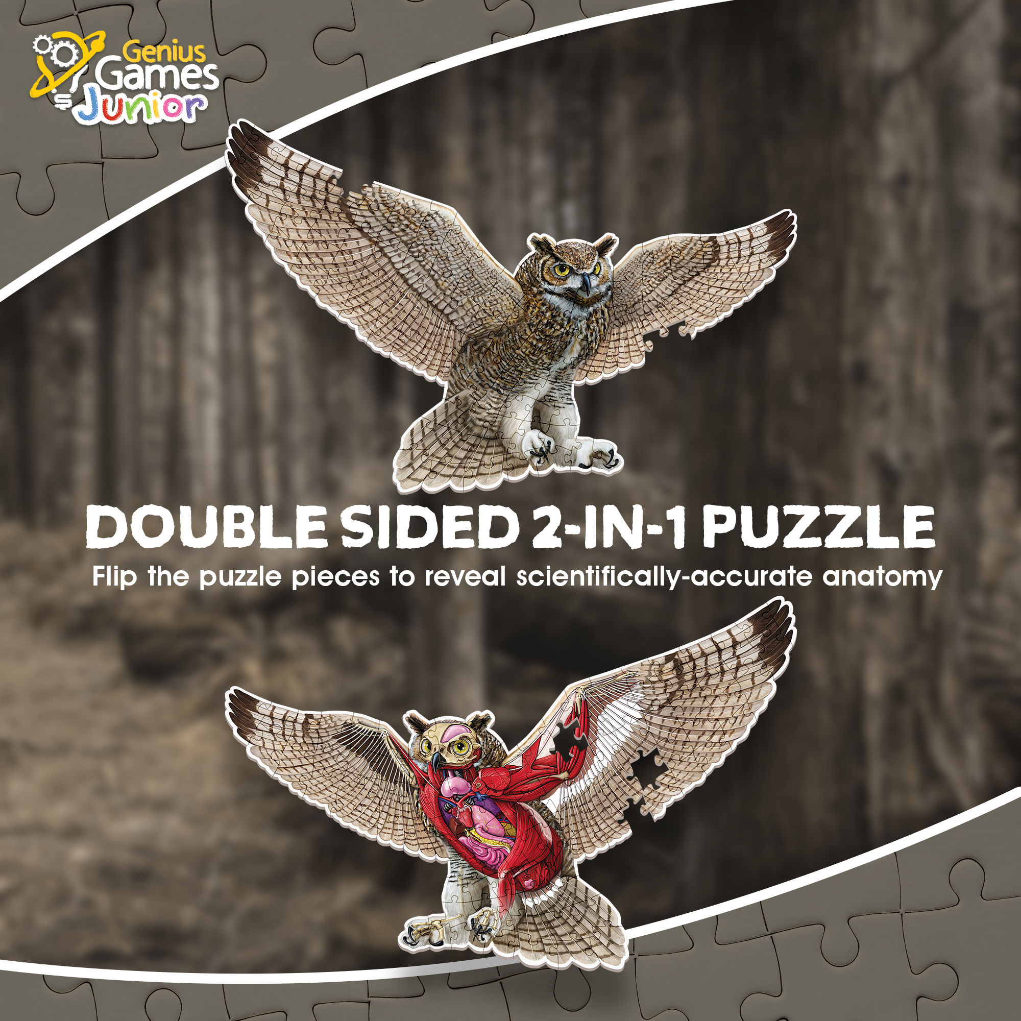 Genius Games - Wholesale Puzzle - Kids - Turn N Learn: Owl Puzzle2