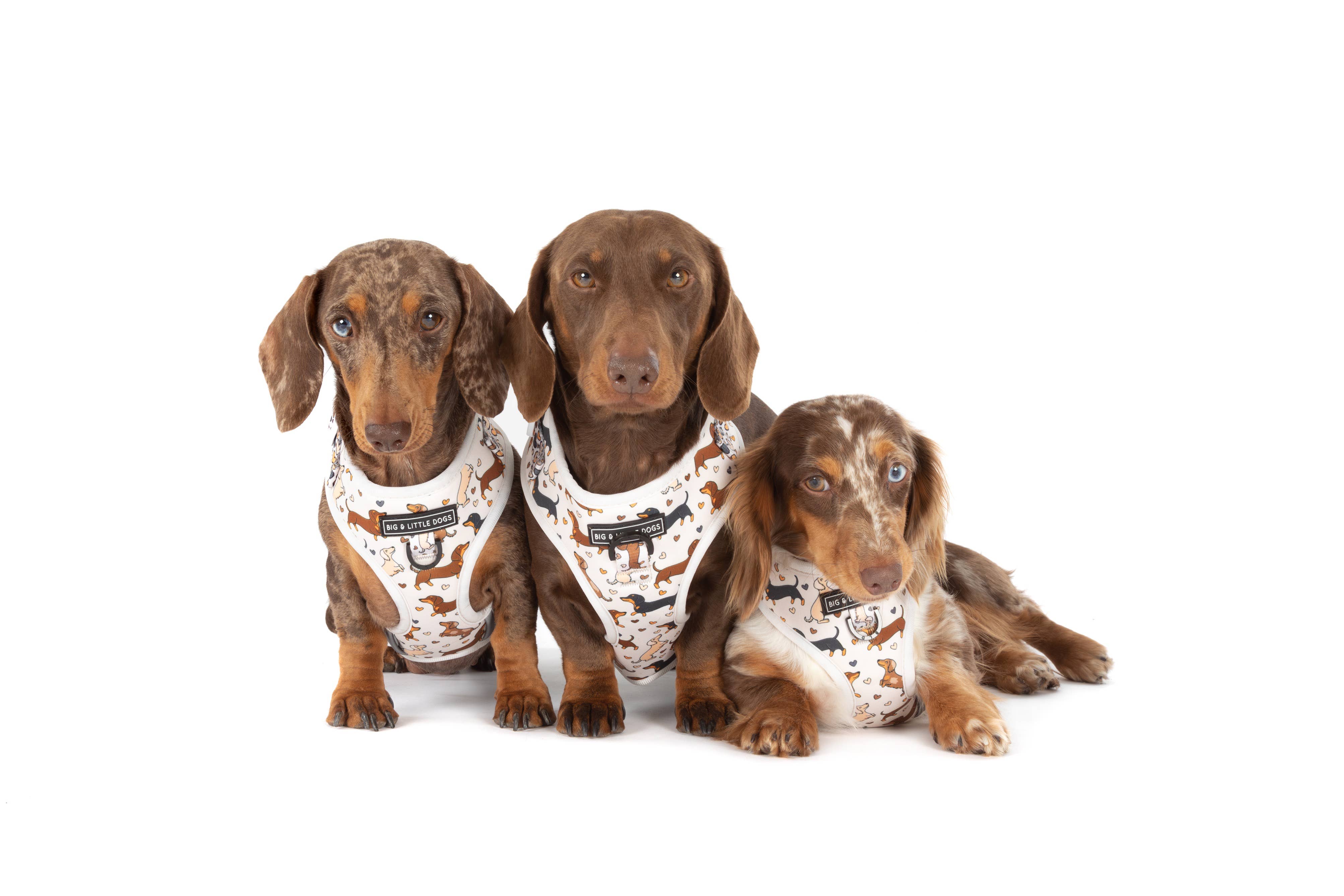 Big and Little Dogs - Wholesale Pet Harness - Dog - ADJUSTABLE DOG HARNESS: Dashie Lovers5
