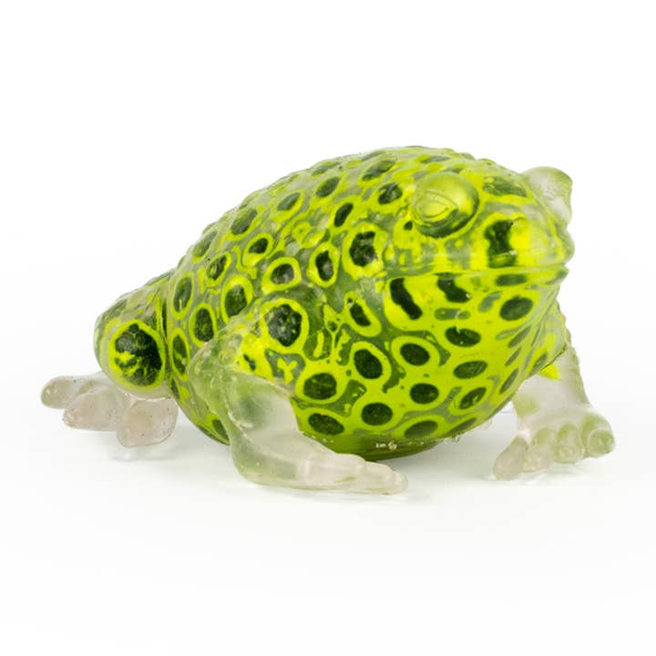 Keycraft - Wholesale Squishy Toy - Kids & Baby - Keycraft Beadz Alive Sensory Frog Toy6