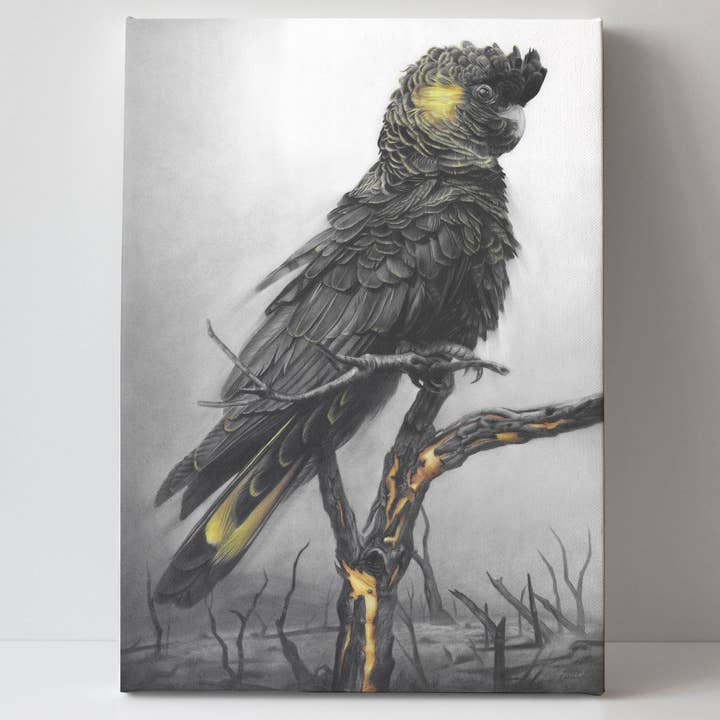 Fiona Francois Art - Wholesale Art print - 'Black Cockatoo' canvas print