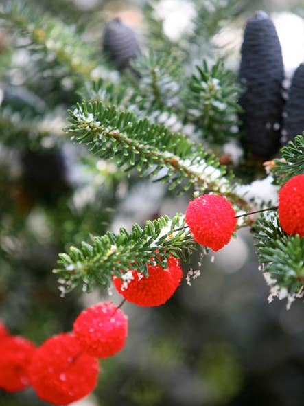 Guirnalda de Pompones Rojos de Navidad para venta al por mayor de PomPom Galore