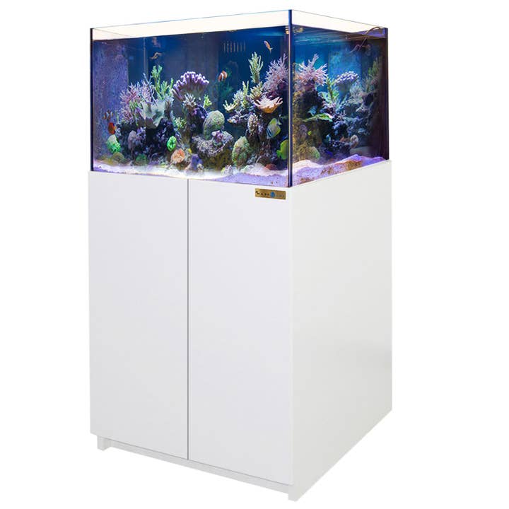 115 Gallon Korallrevsakvarium Ultraklart Glasakvarium & Inbyggd Sump Helt Vit för wholesale av AQUA DREAM