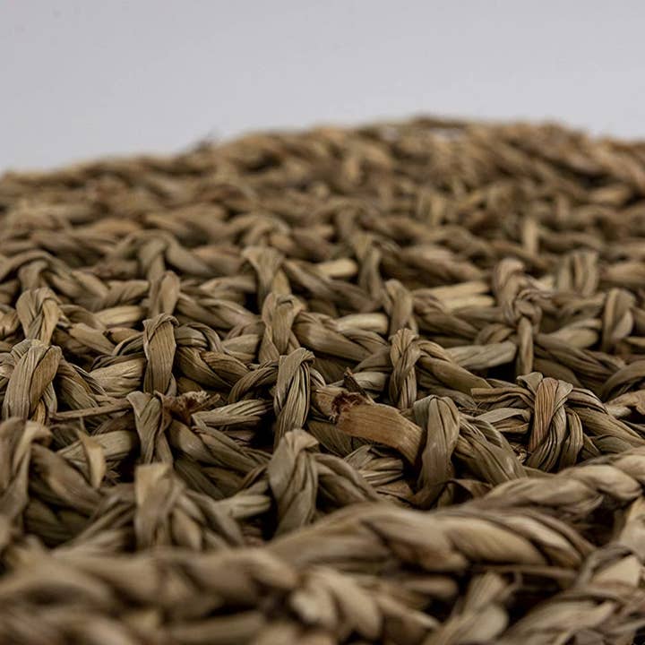 Penn-Plax - Wholesale Terrarium - Reptology Lizard Lounger – Extra Large4