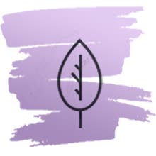 Woolzies - Wholesale Linen Spray - Laundry & Linen Spray Set13