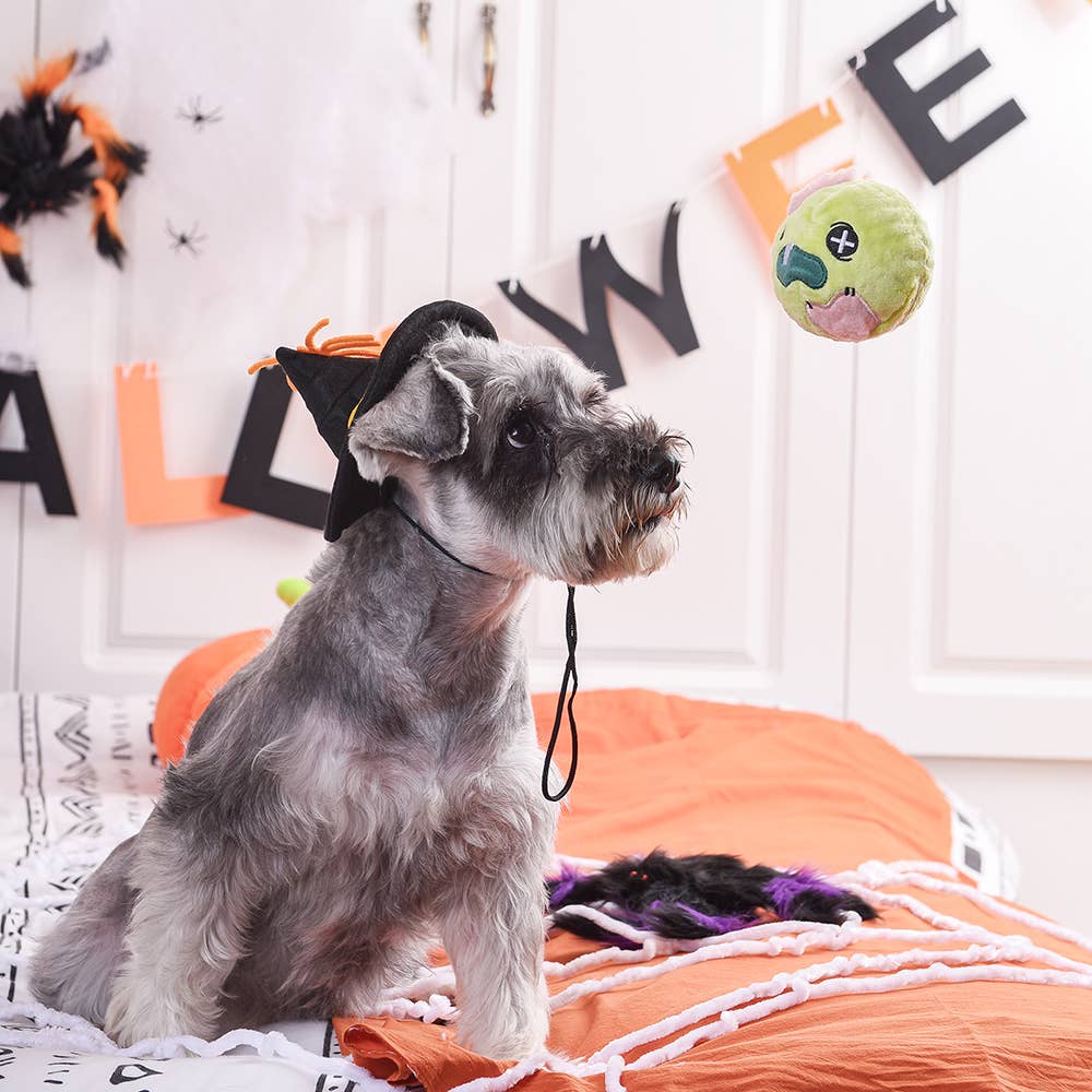Hugsmart Products Inc - Venta al por mayor Pelota - Perros - Pelota de juguete para perros HugSmart Pet | Howloween Night — Zombie3