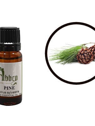Olio Essenziale di Pino per la vendita all'ingrosso da parte di Abbey Essentials