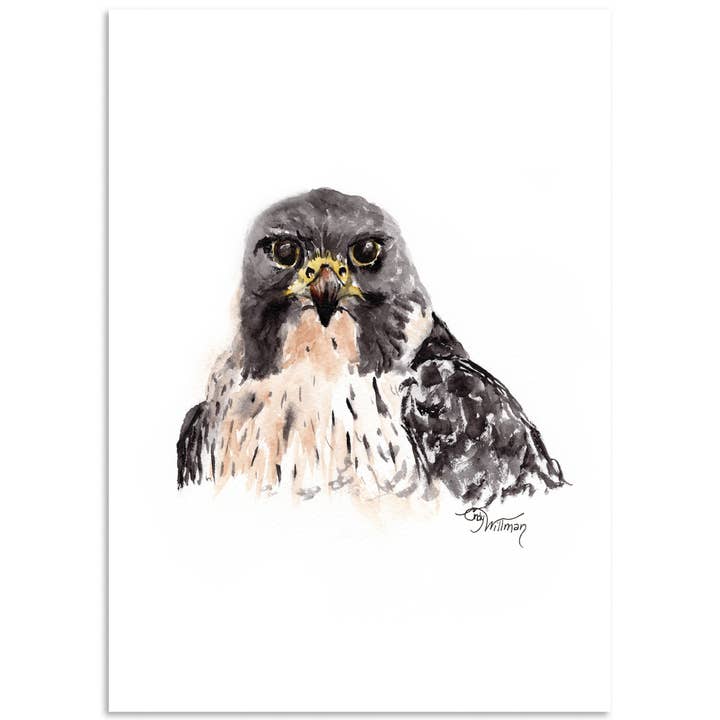 Peregrine Falcon for wholesale by Moonlight & Grace