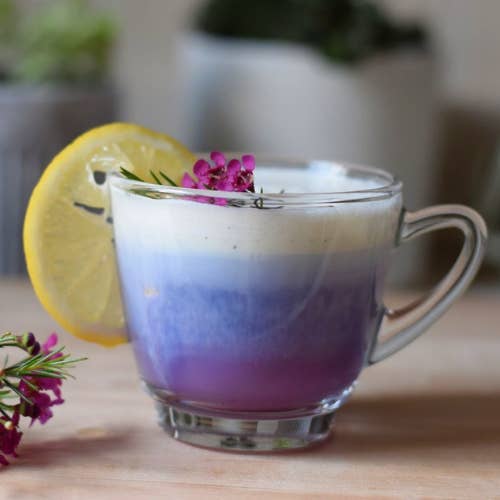 Tea + Flowers - Wholesale Loose Tea - organic butterfly pea flower herbal loose leaf tea4