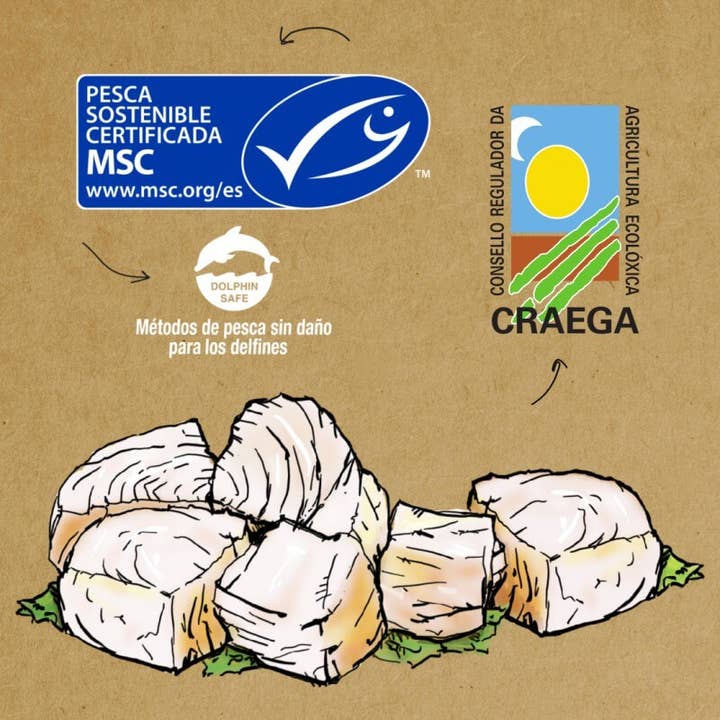 Delicatessen Spanish Food - Vente Poissons en conserve - Bonite blanche MSC à l'huile d'olive extra vierge biologique 115 g4