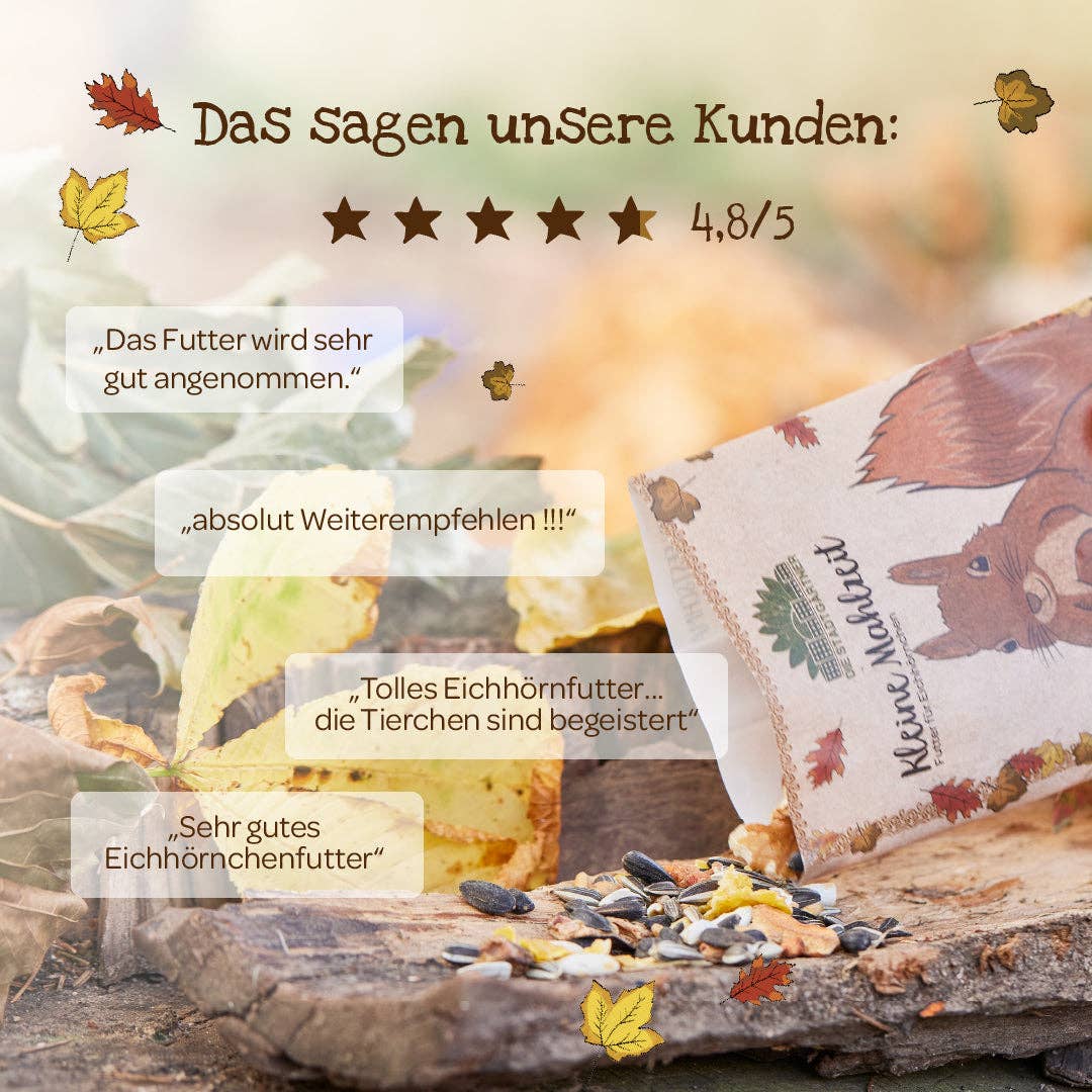 TDJ Stadtgärtner GmbH - Wholesale Retailer Display - Home & Living - Small meals - 46 tray12