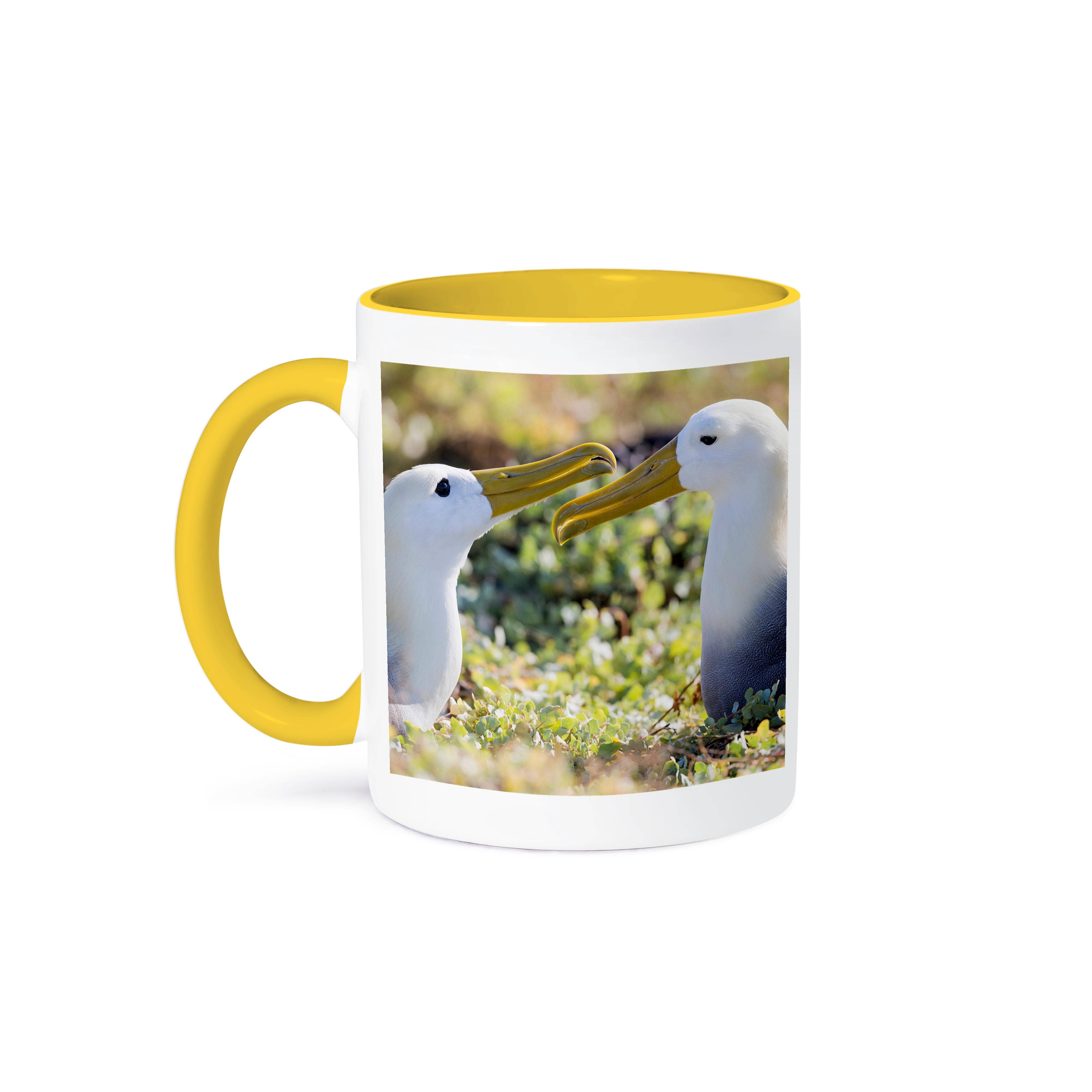 3dRose - Wholesale Coffee Mug - 3dRose, Ecuador, Galapagos, Espanola, Punta Suarez. Waven albatrosses pair., Mug0