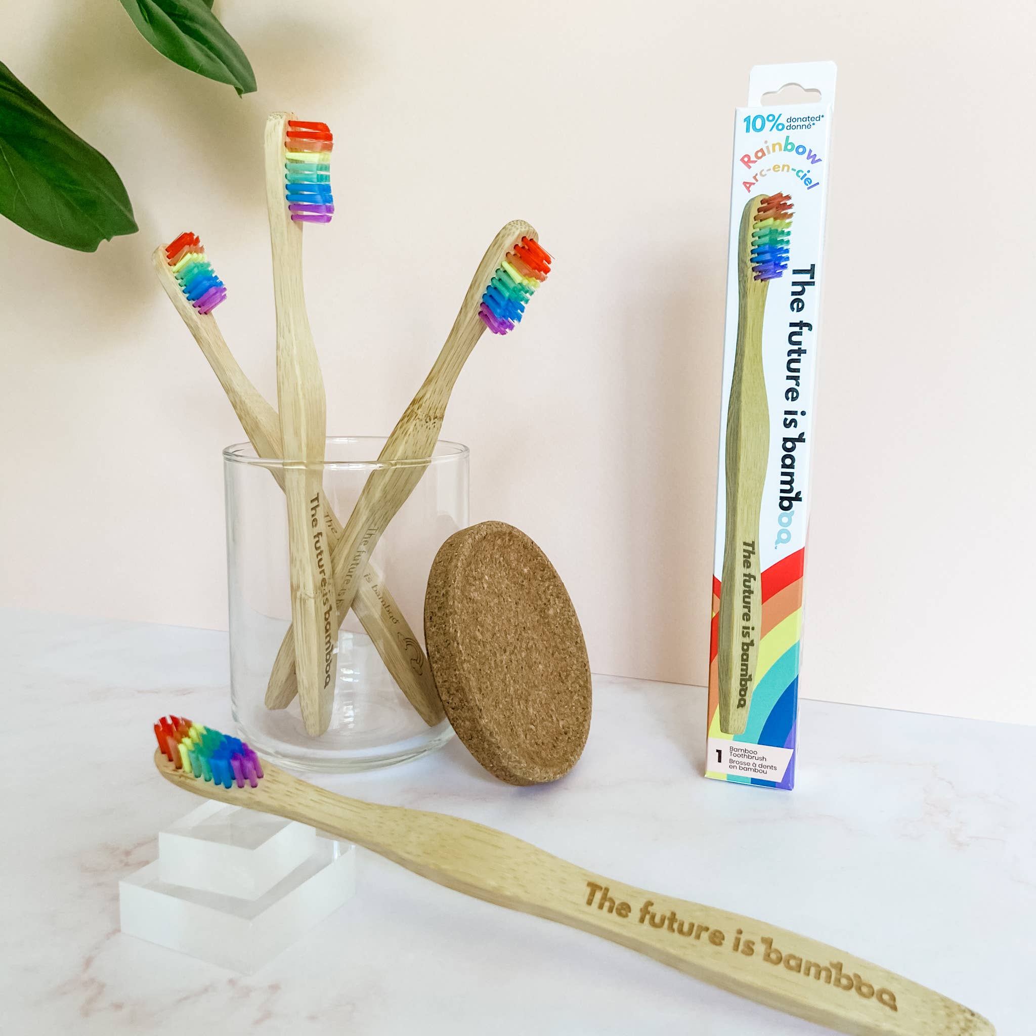 The future is bamboo - Vente Brosses à dents - RAINBOW Brosse à dents en bambou souple adulte3