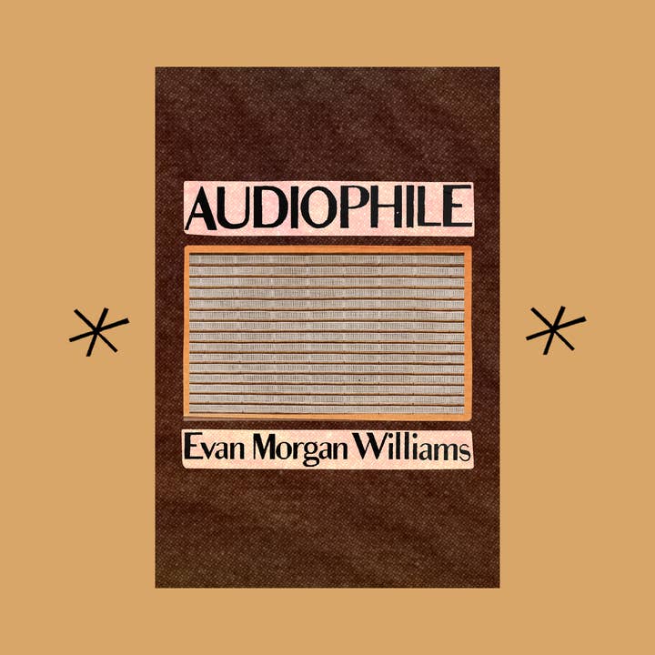 Audiophile, av Evan Morgan Williams för wholesale av Bottlecap Press